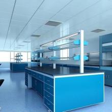  藍(lán)翔凈化公司 主營 凈化工程